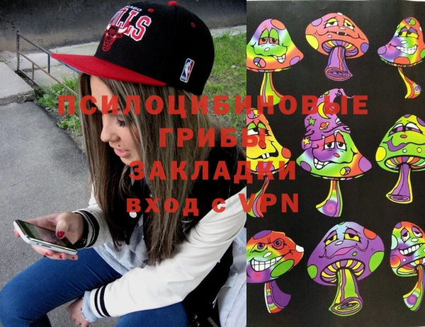 прущие крисы Магас