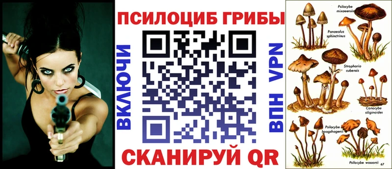 цена наркотик  Пенза  Псилоцибиновые грибы прущие грибы 