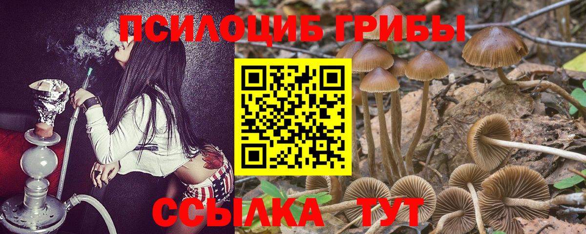 Псилоцибиновые грибы Magic Shrooms  Псилоцибиновые грибы Psilocybine cubensis  Пенза  Вход с VPN 
