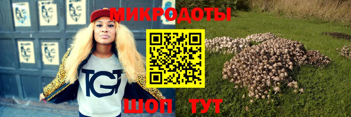 Псилоцибиновые грибы MAGIC MUSHROOMS  Пенза  Галлюциногенные грибы MAGIC MUSHROOMS 