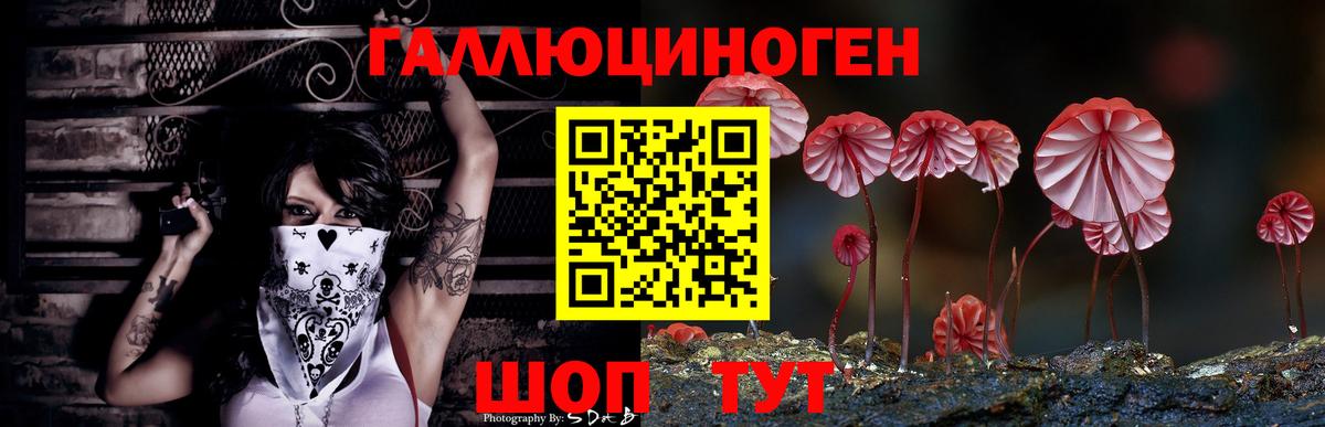 Псилоцибиновые грибы Psilocybine cubensis Пенза