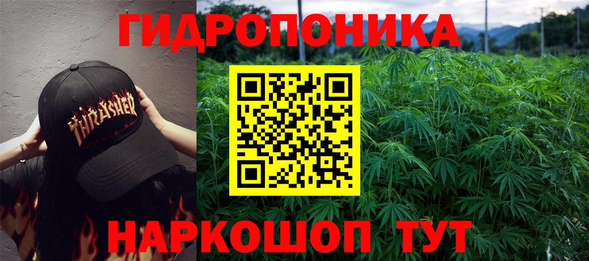 Канабис семена  Пенза  Каннабис OG Kush  Бошки Шишки ГИДРОПОН 